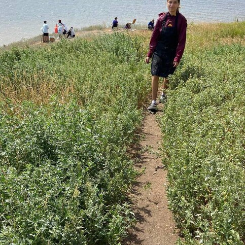 media